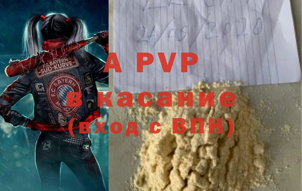 ГАЛЛЮЦИНОГЕННЫЕ ГРИБЫ Аркадак