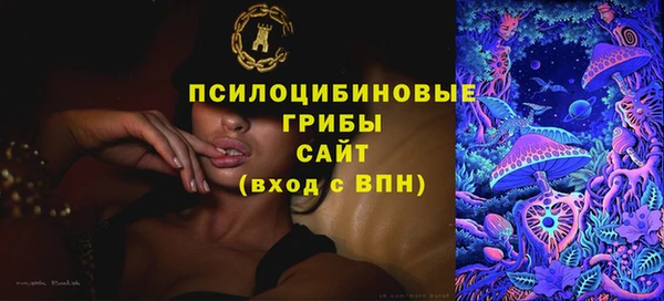 крисы Армянск