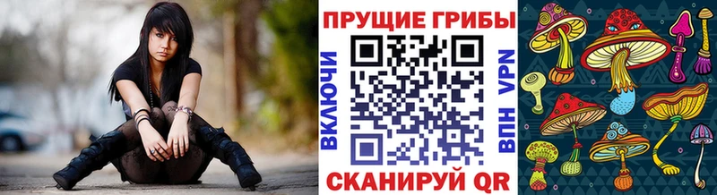 мориарти официальный сайт  МЕГА ССЫЛКА  Макаров  купить наркотик  Псилоцибиновые грибы Magic Shrooms 